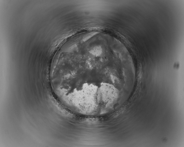 X0000115360353200911241222