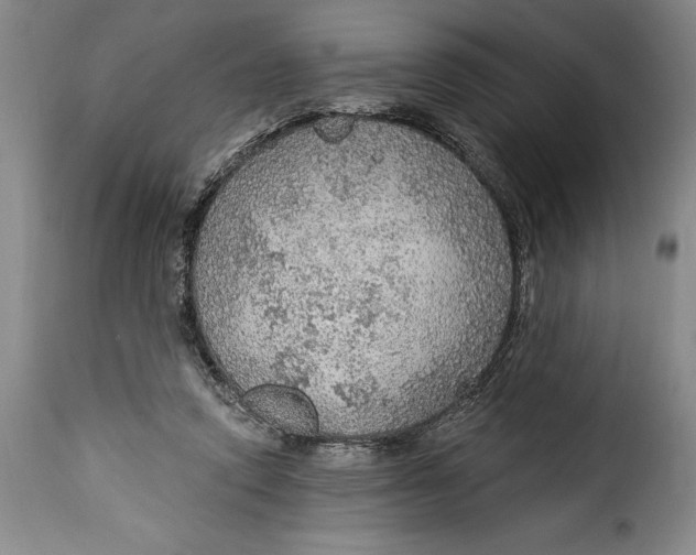 X0000115360354200911241222