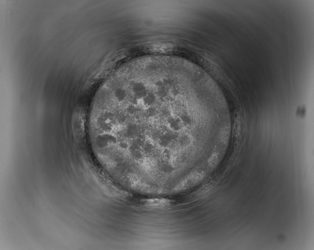 X0000115360363200911241222