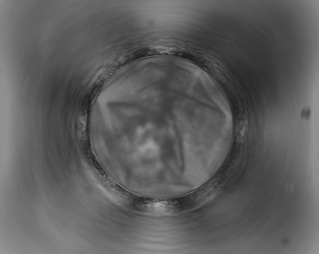 X0000115360365200911241222
