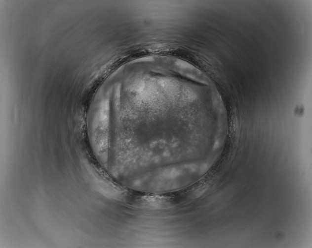 X0000115360367200911241222