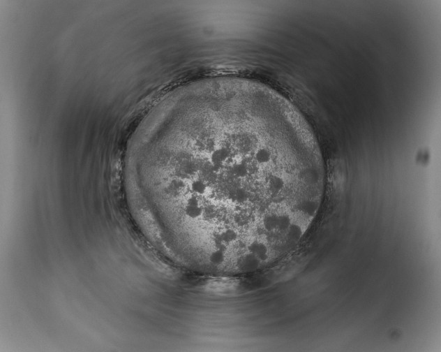 X0000115360369200911241222