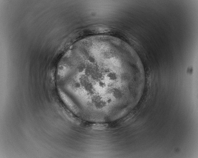 X0000115360373200911241222