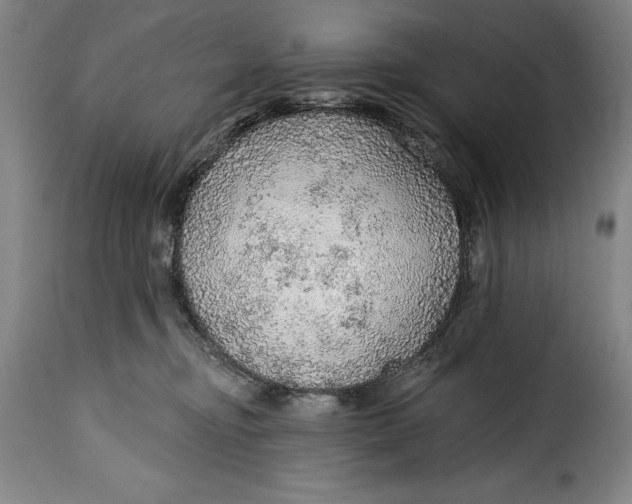 X0000115360374200911241222