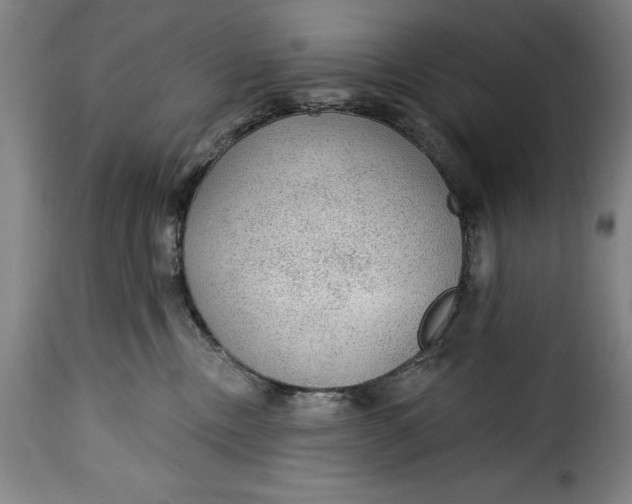 X0000115360378200911241223