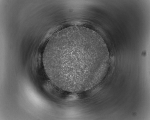 X0000115360381200911241223