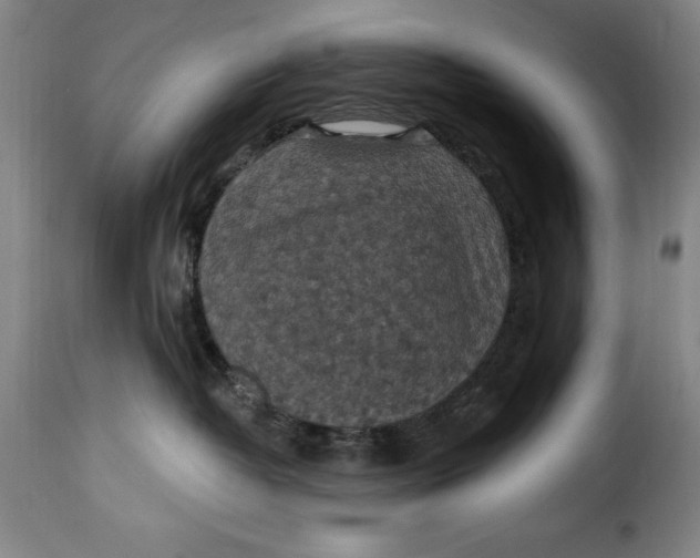 X0000115360382200911241223