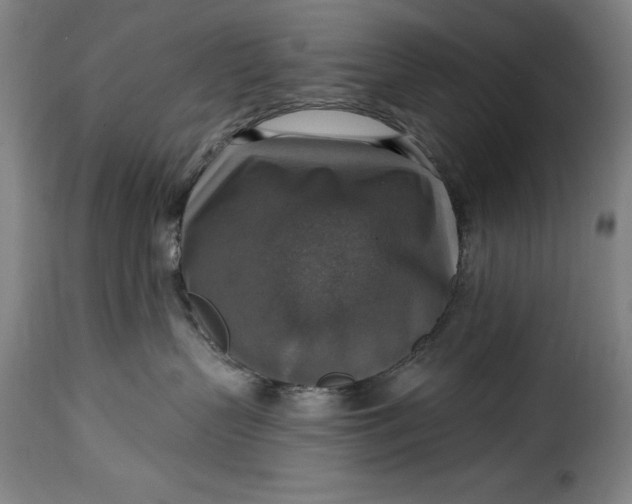 X0000115360383200911241223