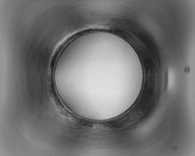 X0000115360388200911241222