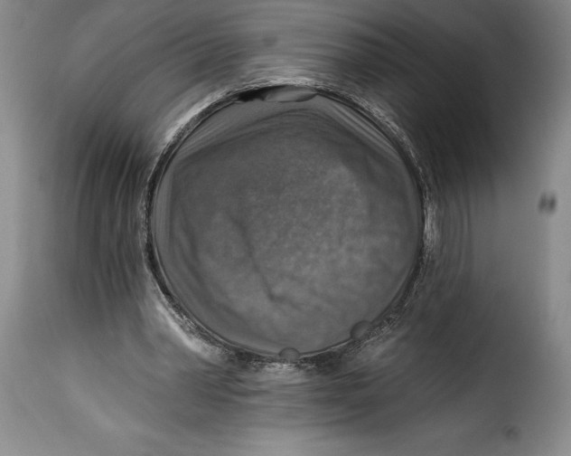 X0000115360390200911241222