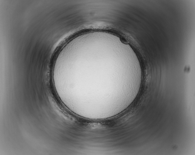 X0000115360392200911241221