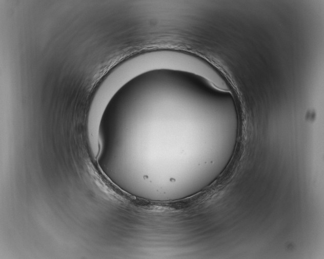 X0000115360393200911241221