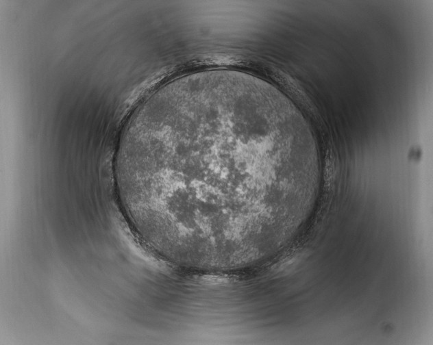 X0000115360394200911241221