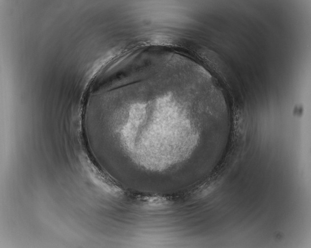 X0000115360395200911241221