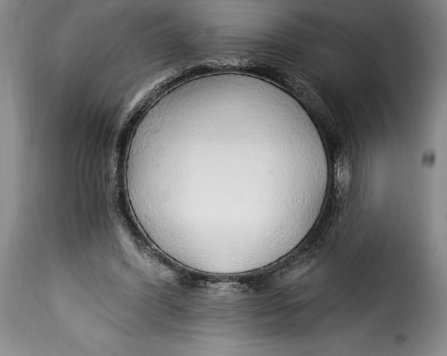 X0000115360396200911241221
