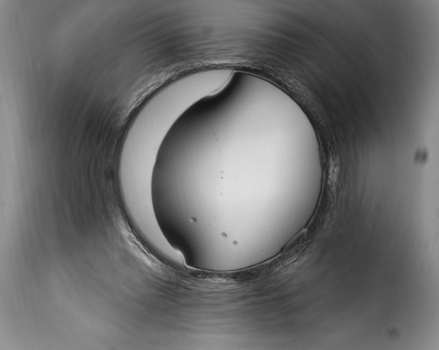 X0000115360397200911241221