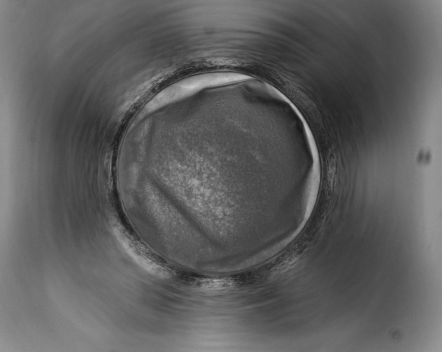 X0000115360398200911241221