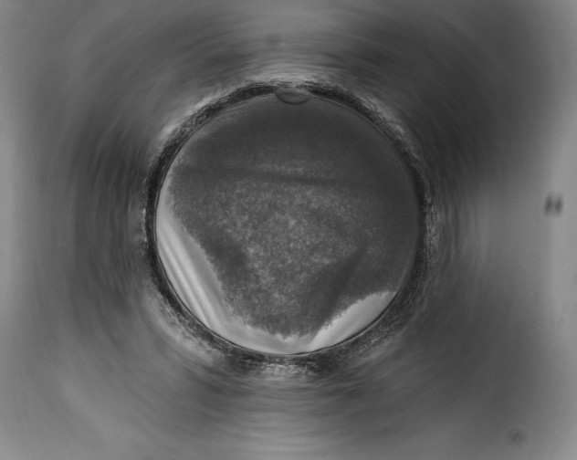 X0000115360399200911241221