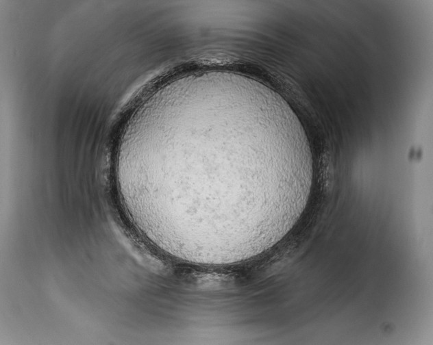 X0000115360400200911241221