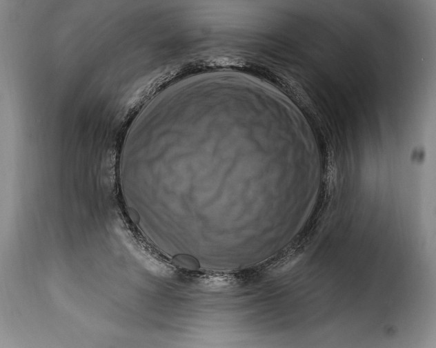 X0000115360402200911241221