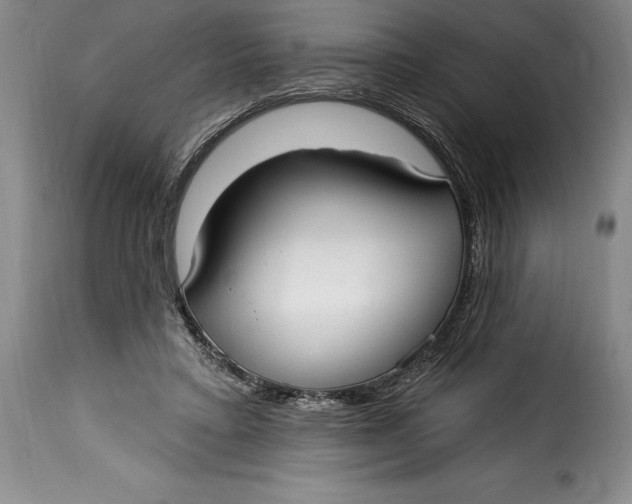 X0000115360403200911241221