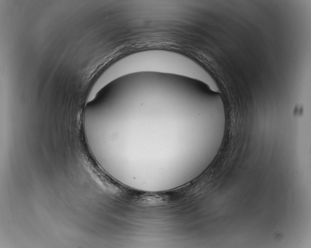 X0000115360405200911241221