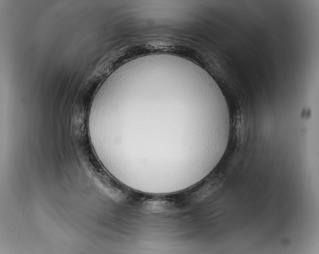 X0000115360408200911241221