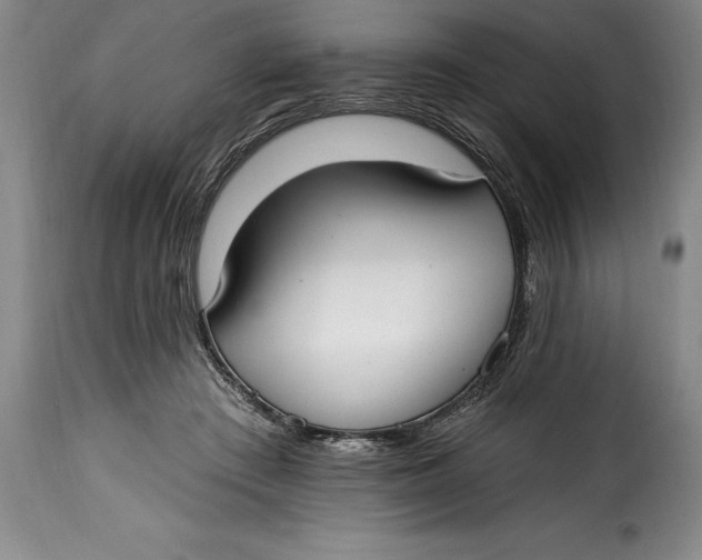 X0000115360409200911241221