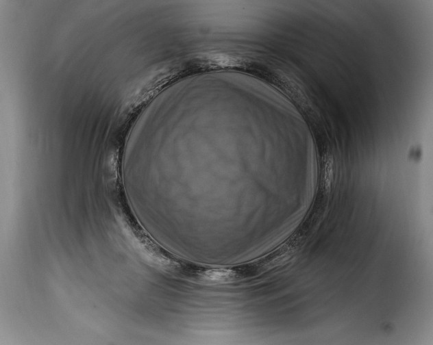 X0000115360410200911241221