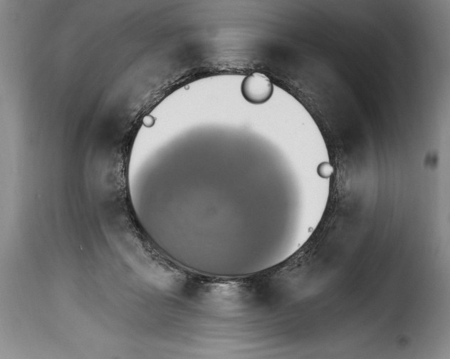 X0000115360411200911241221