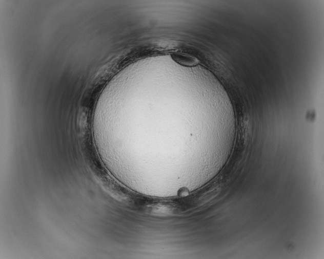 X0000115360412200911241221