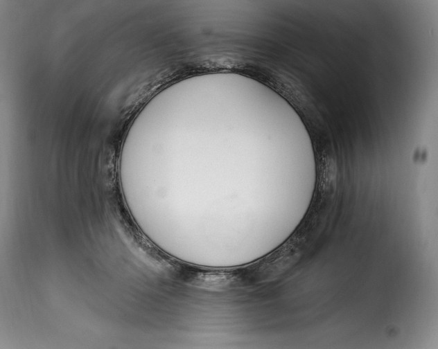 X0000115360414200911241221