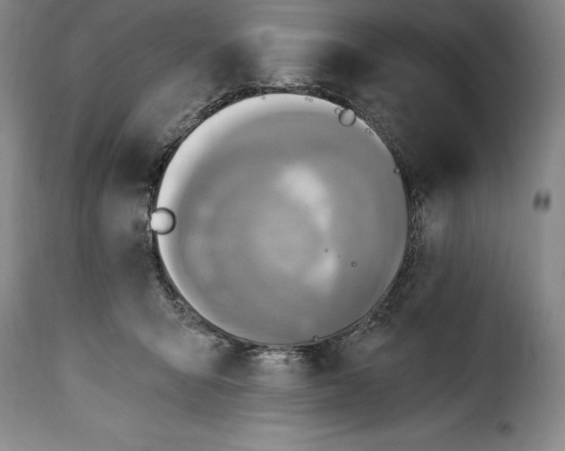 X0000115360415200911241221