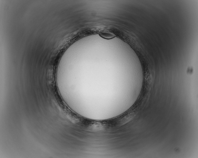 X0000115360416200911241221