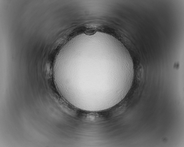 X0000115360420200911241221