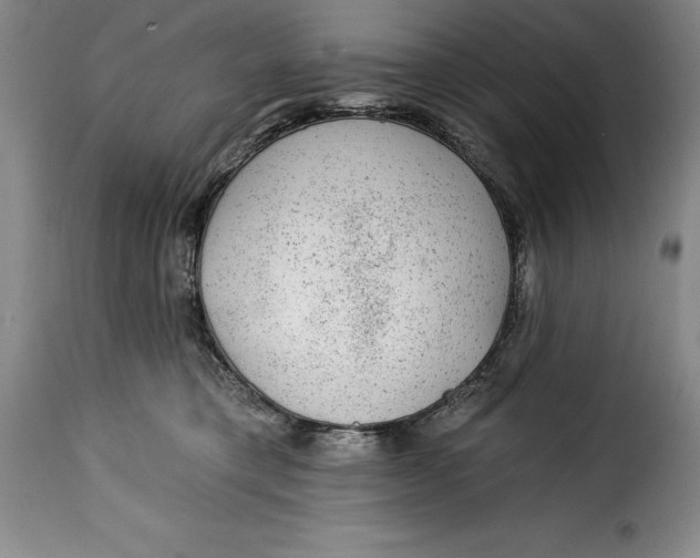 X0000115360421200911241221