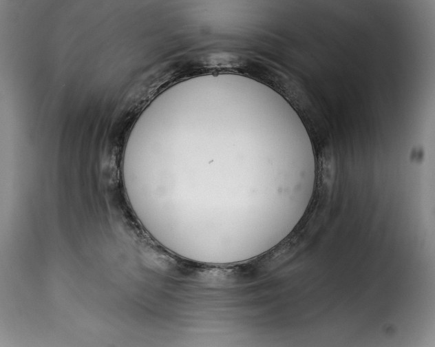 X0000115360422200911241221
