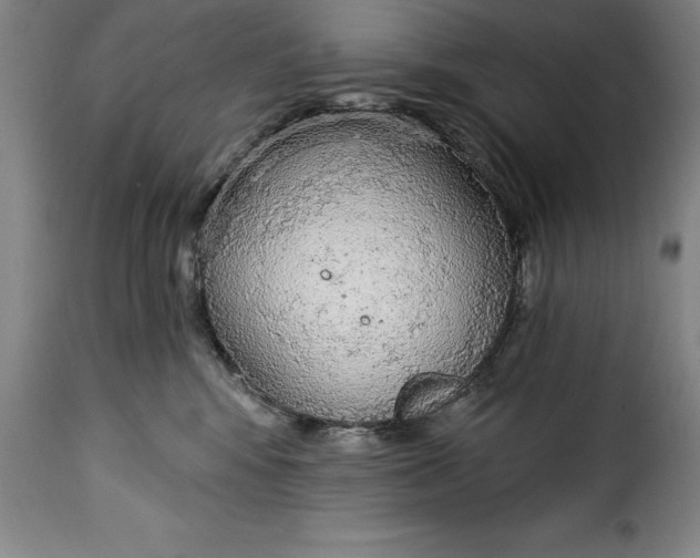 X0000115360424200911241221