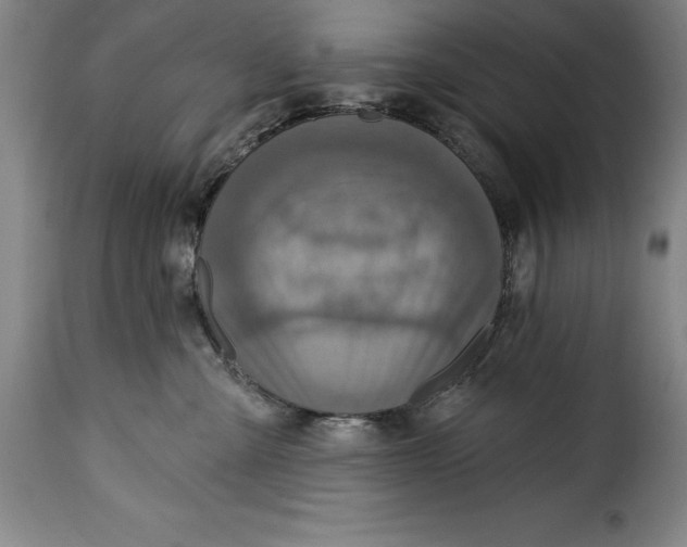X0000115360427200911241221