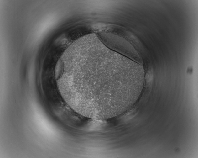 X0000115360429200911241221