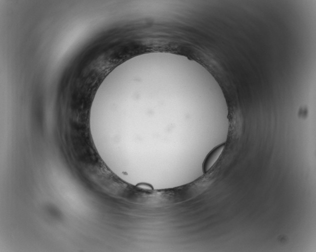 X0000115360430200911241221
