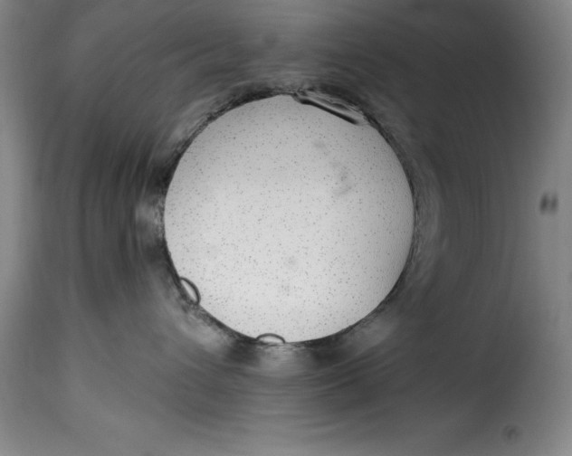X0000115360432200911241221