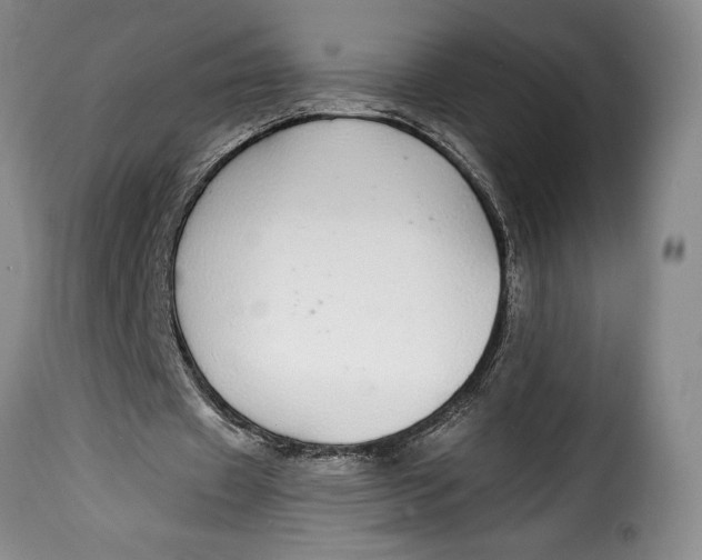X0000115360433200911241220