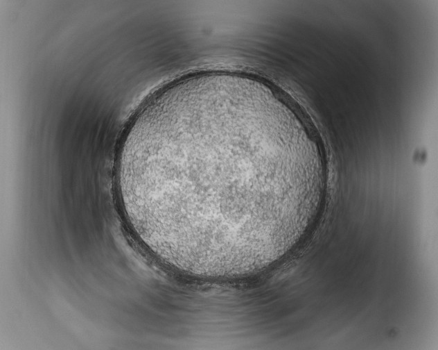 X0000115360434200911241220