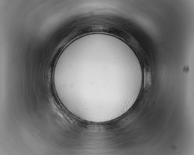 X0000115360435200911241220