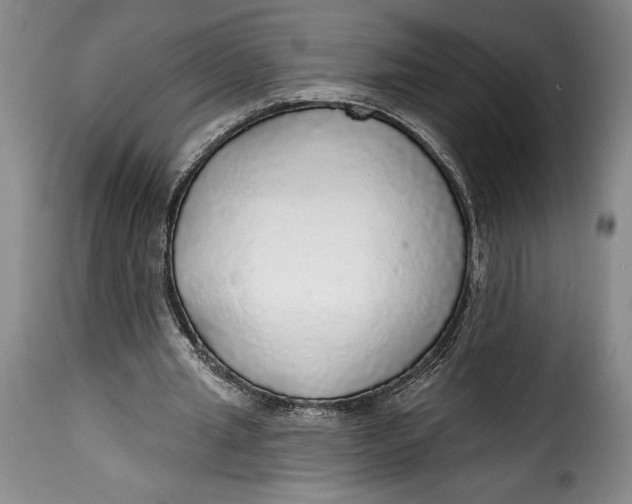 X0000115360437200911241220