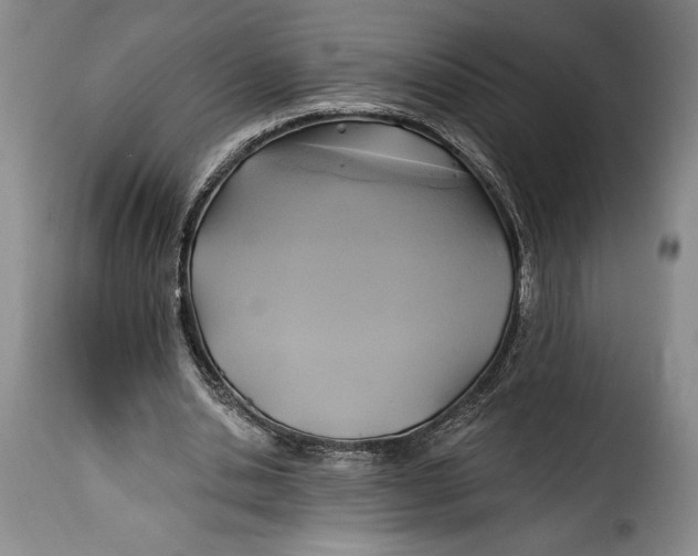 X0000115360438200911241220