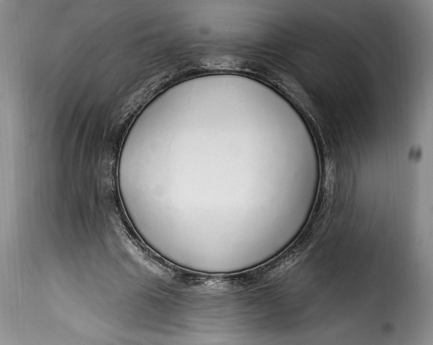 X0000115360441200911241220