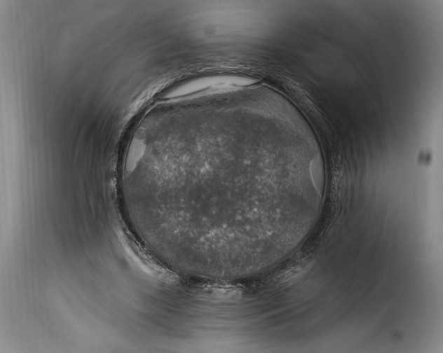 X0000115360443200911241220
