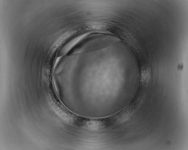 X0000115360444200911241220